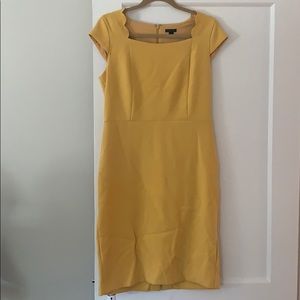 Ann Taylor Dress